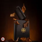 DOTMOD DOTPOD GO